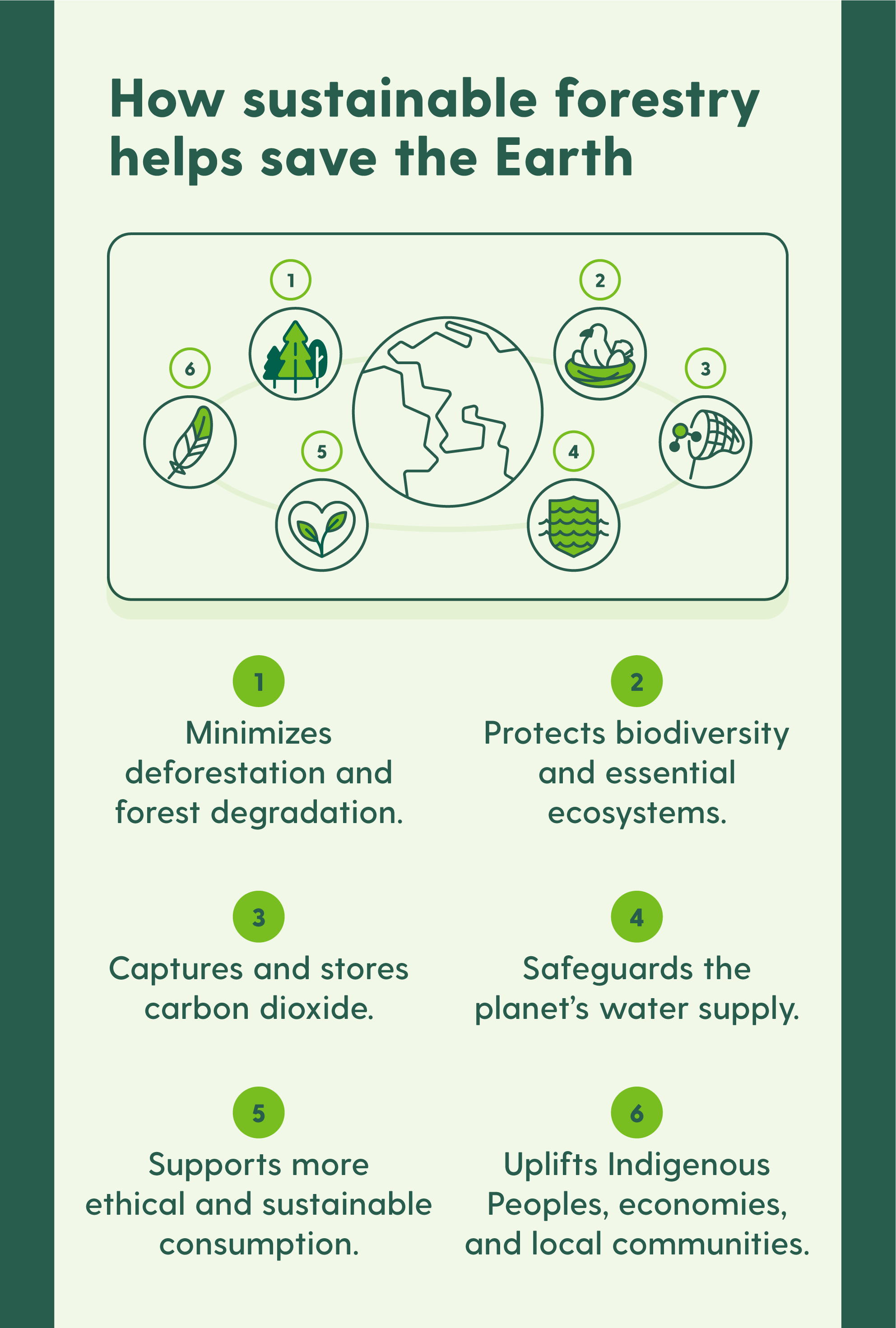 Forest Conservation Benefits: Protecting Our Planet Together