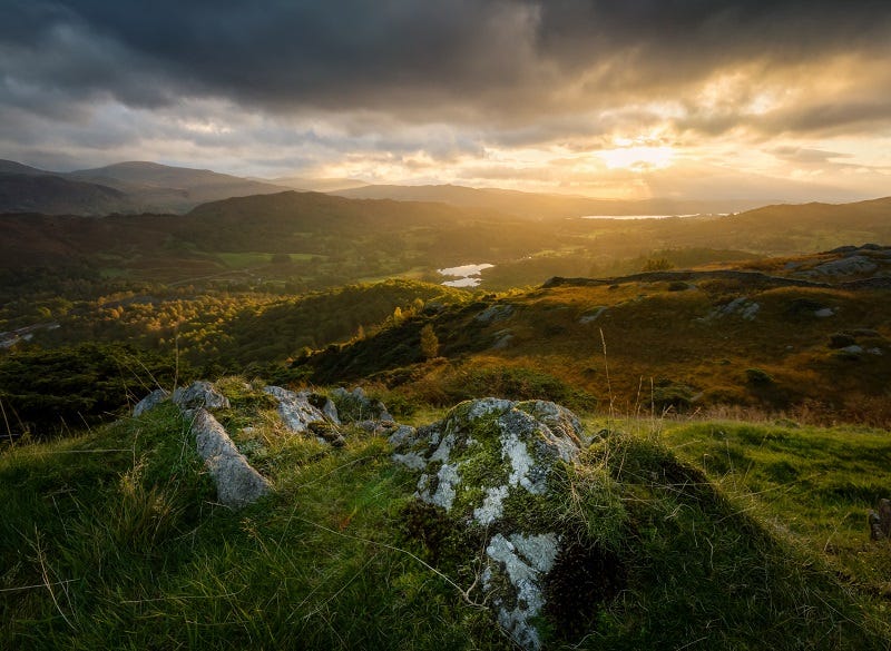Amazing Nature Spot Light Photo: Examples and Techniques