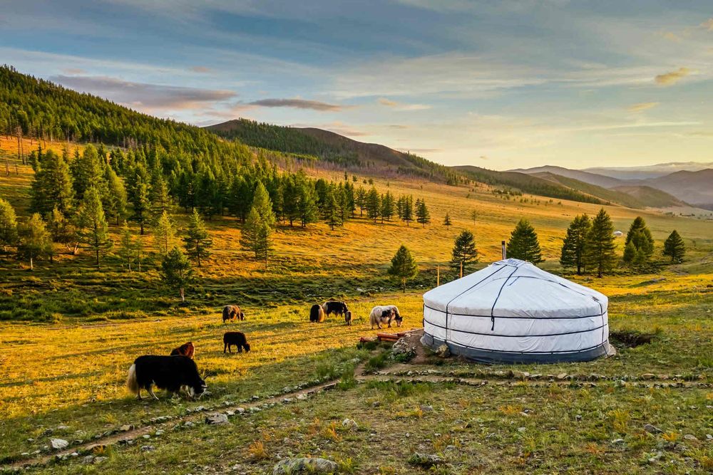 Plan Your Trip: Discover the Best Things to Do in Mongolia