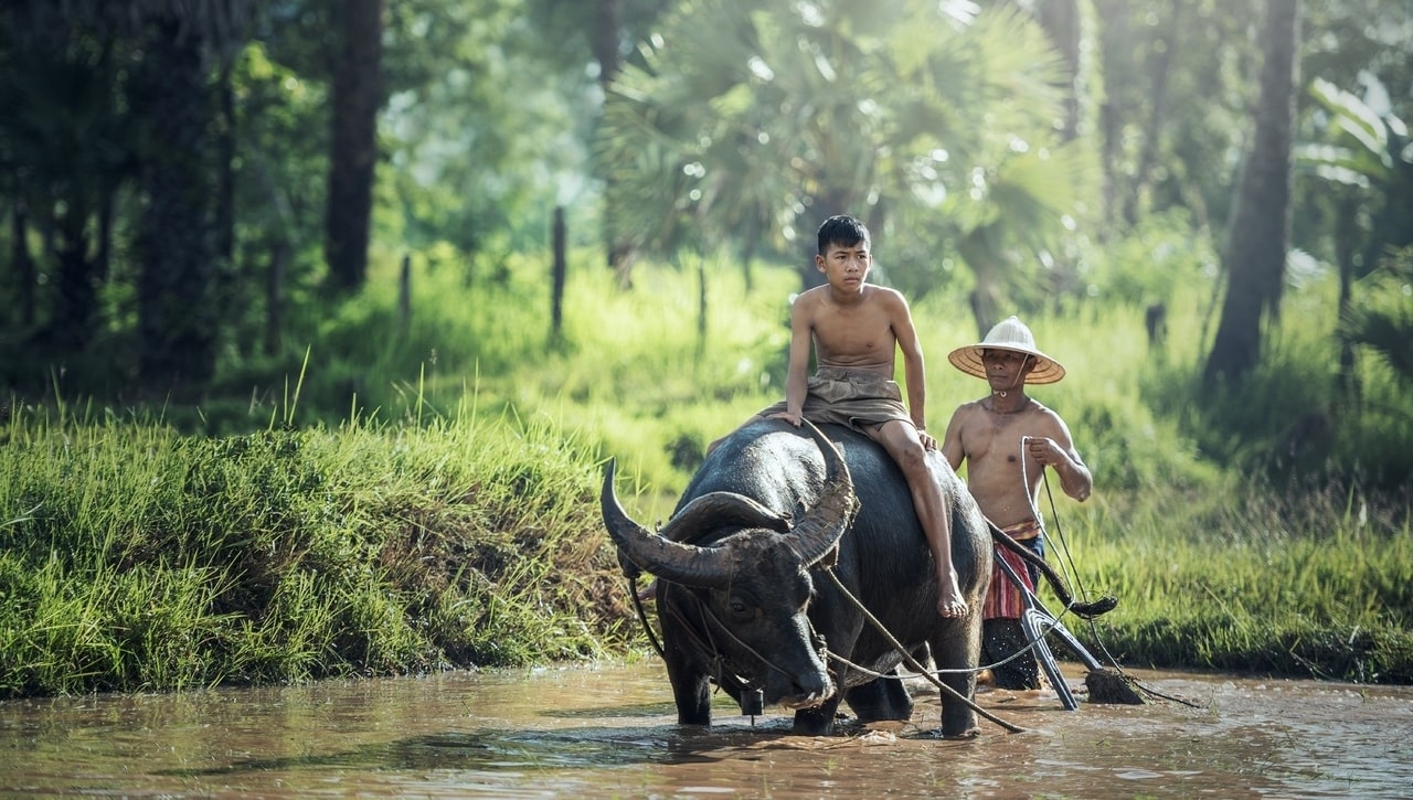 Why Choose Small-scale tourism? Experience Authentic Travel!