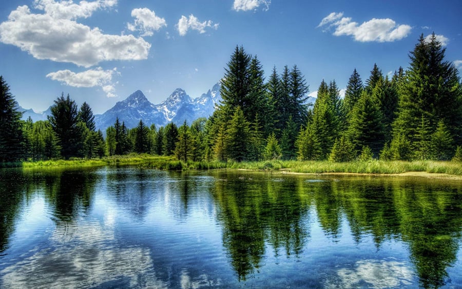 Smooth Water for Landscape Photos? Easy Tips to Get Calm Reflections!