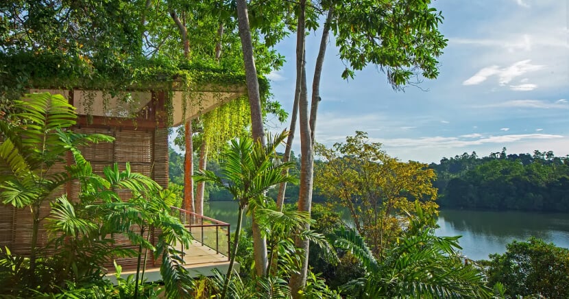 Green-certified accommodations: Simple ways to find eco-friendly stays!