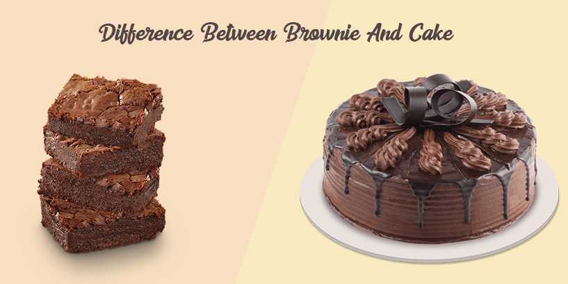 Space Cake vs. Brownies: Whats the Actual Difference?