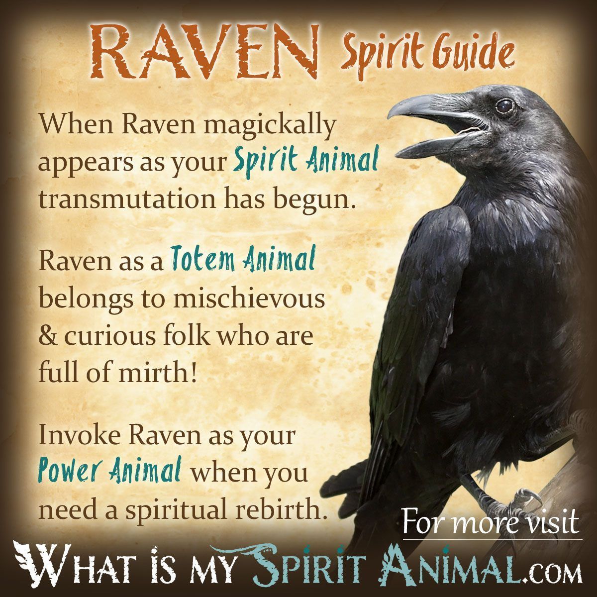 Raven Spiritual Meaning: Whats the Real, Simple Message?
