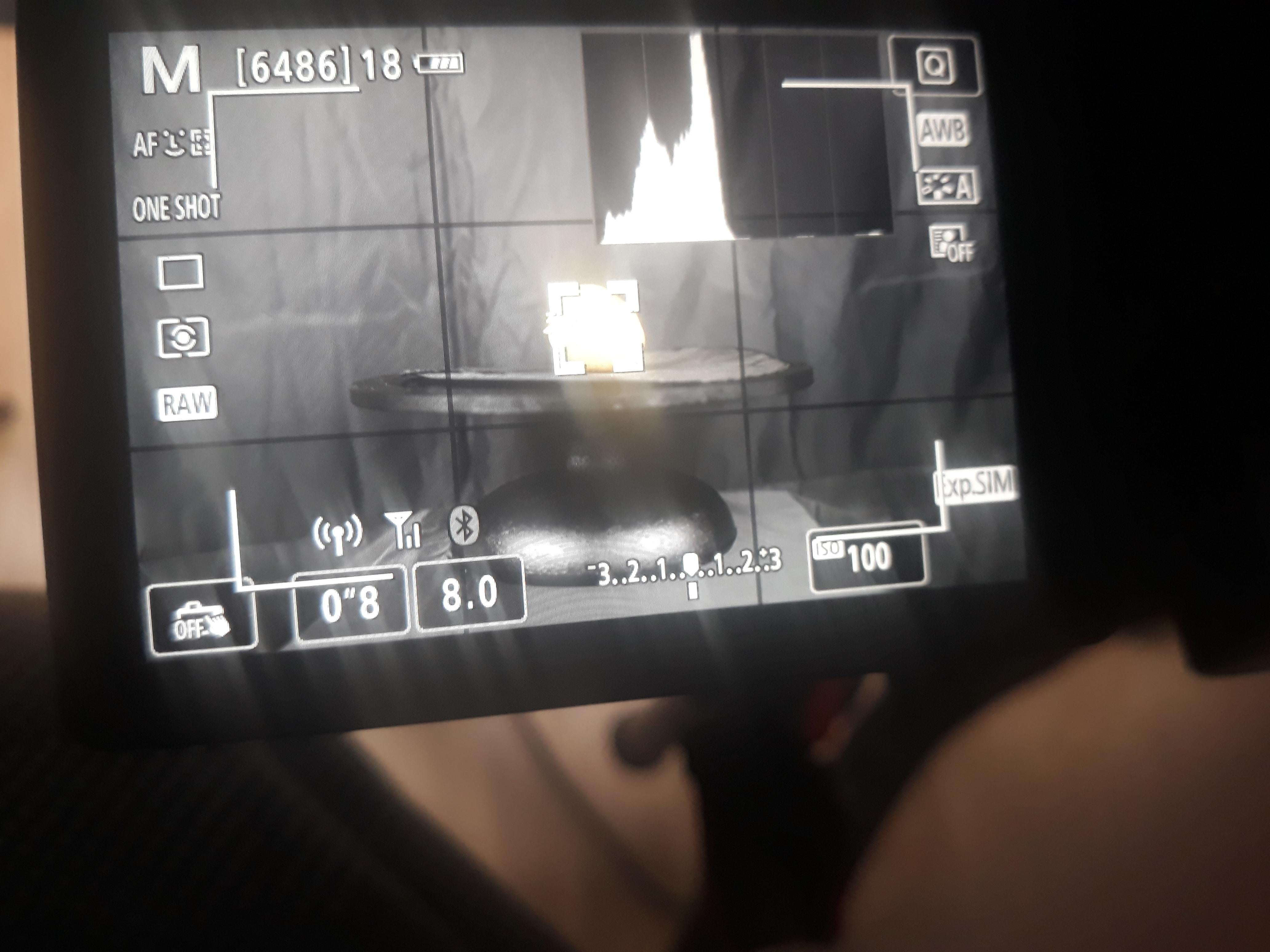 My Camera Shows Me Too Bright - Troubleshooting Guide!
