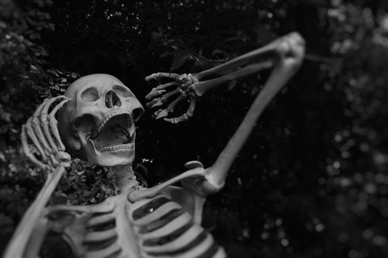 Try This Spooky Halloween Photo Idea: Black and White for Extra Chills!