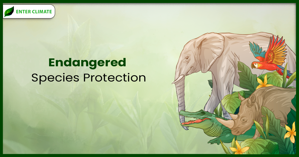 Protecting Endangered Species: Learn How to Make a Difference