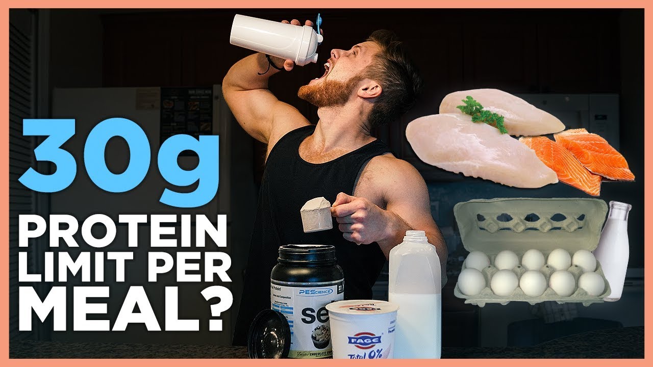 Protein Digestion: How Much Can Your Body Absorb in One Meal?
