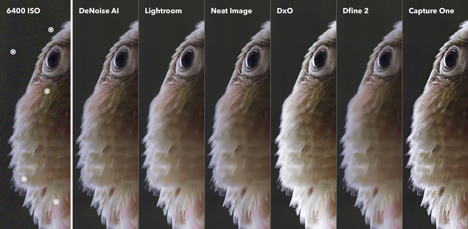 How to Reduce Wave Noise in Image: Best Ways to Clean Up Your Pictures