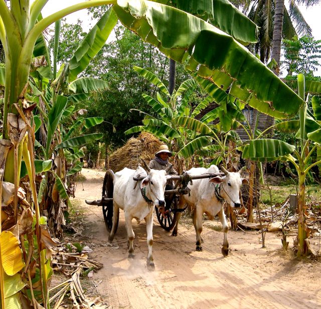 Why Choose Rural Tourism? The Best Reasons to Go Rural!