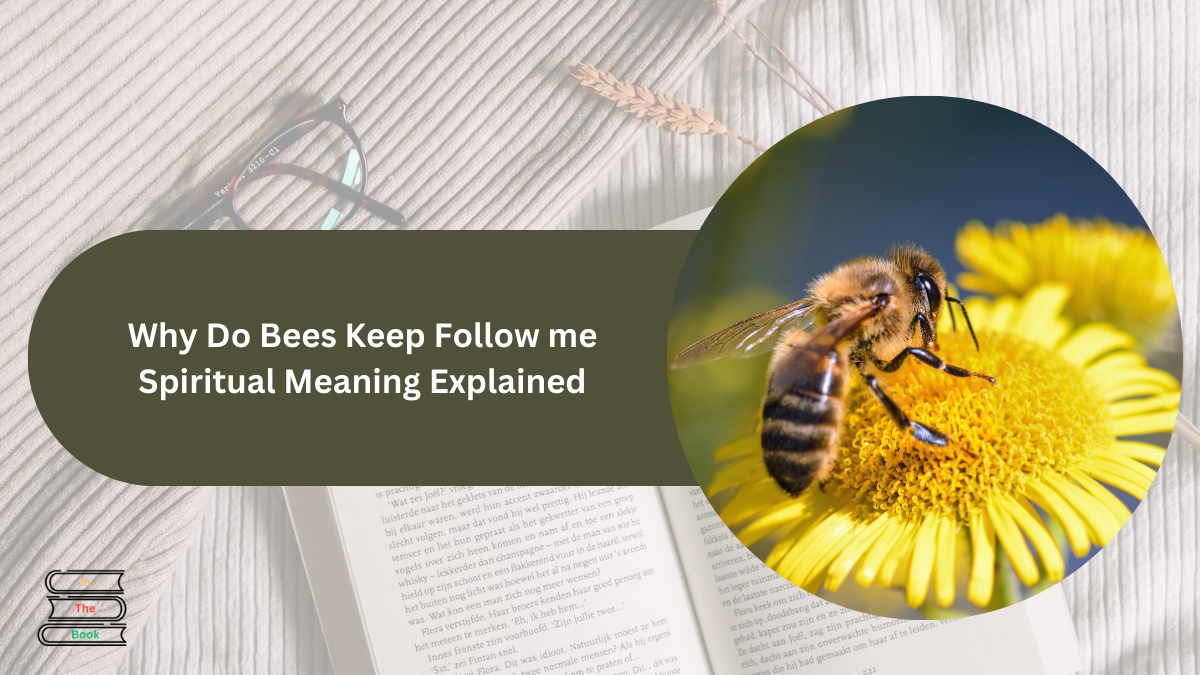 Bees Following Me? Spiritual Meaning and Why It Happens!