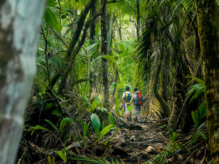 Eco-conscious tourism agencies: Find the best green travel company!