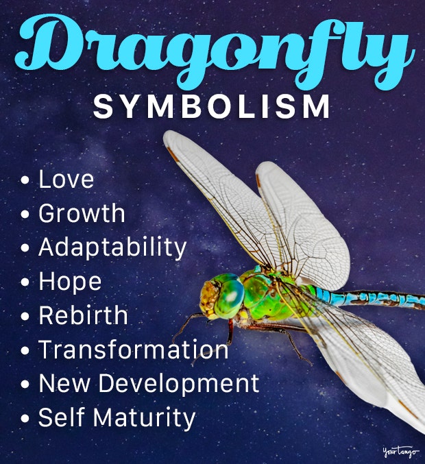 Dragonfly Spiritual Meaning: Simple Guide & Symbolism (What Does It Mean?)