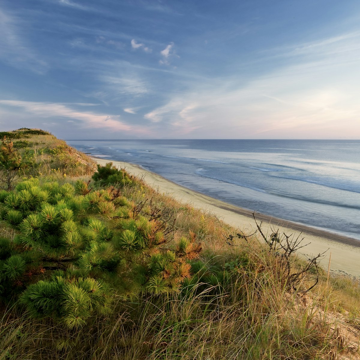 Explore Chapin Memorial Beach: Dennis MA (Top Things to Do Nearby!)