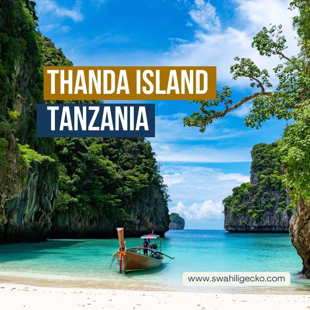 Are holidays to Tanzania safe right now? Get updated travel safety tips and secure tour options easily.
