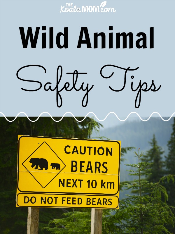 How to Avoid Dangerous Wildlife While Traveling: Simple Safety Tips!