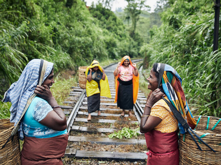 Eco-conscious tourism agencies: Find the best green travel company!