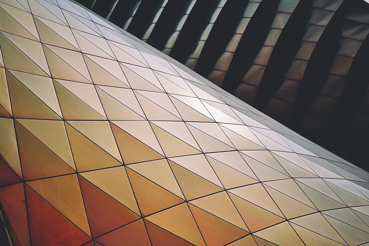 How to take great photos with pattern and repetition? (Easy steps for beginners)