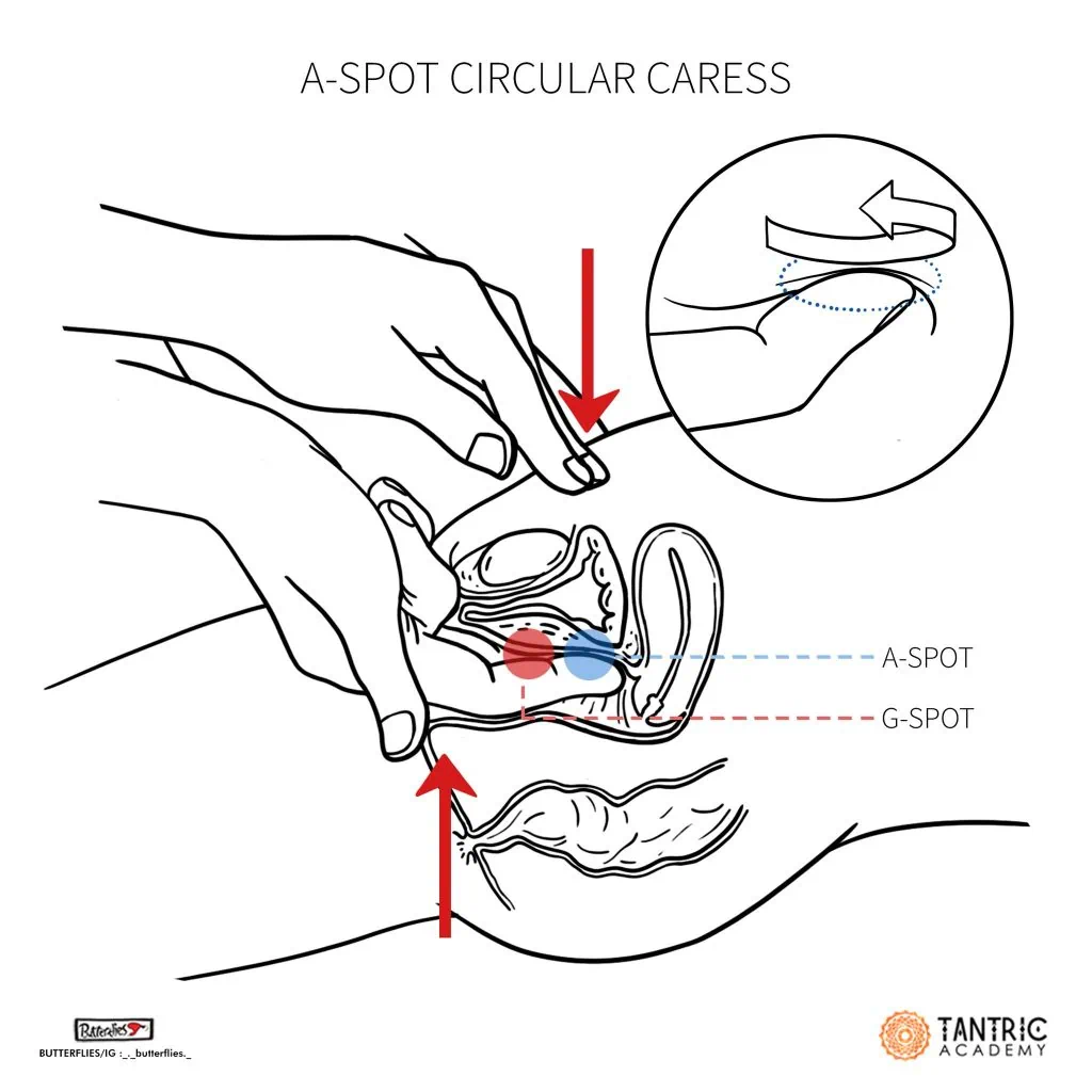 How to Make Someone Squirt: Step-by-Step Instructions (Easy to Follow)