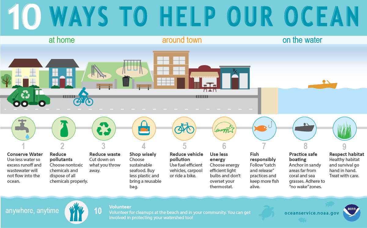 Ocean conservation: Simple steps you can take today!