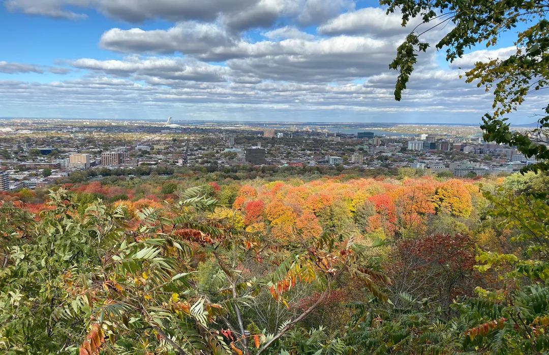 Camilien-Houde Belvedere: Discover Stunning Views (Simple Guide)