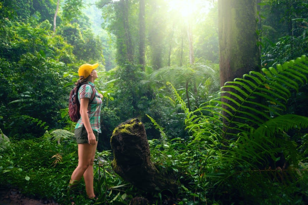 Eco-friendly travel destinations: Top picks for green trips!