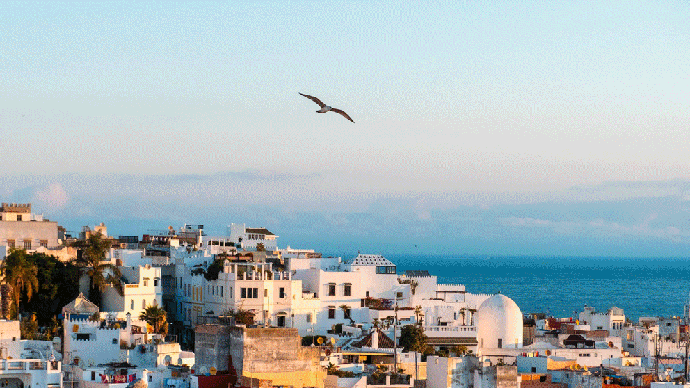 Slow travel: discover top tips and best destinations for 2024.