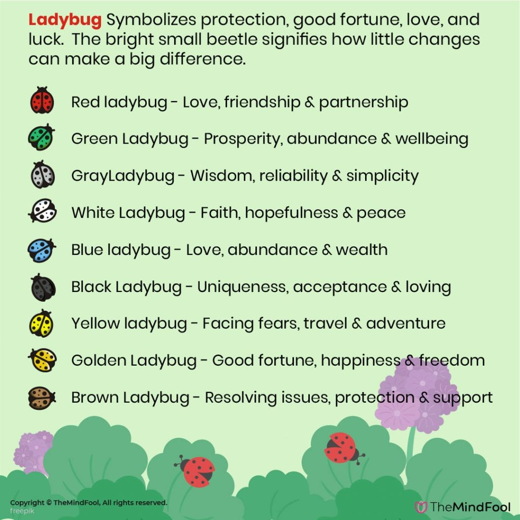 Seeing Ladybugs? Explore the deep Spiritual Meaning of the Ladybug.