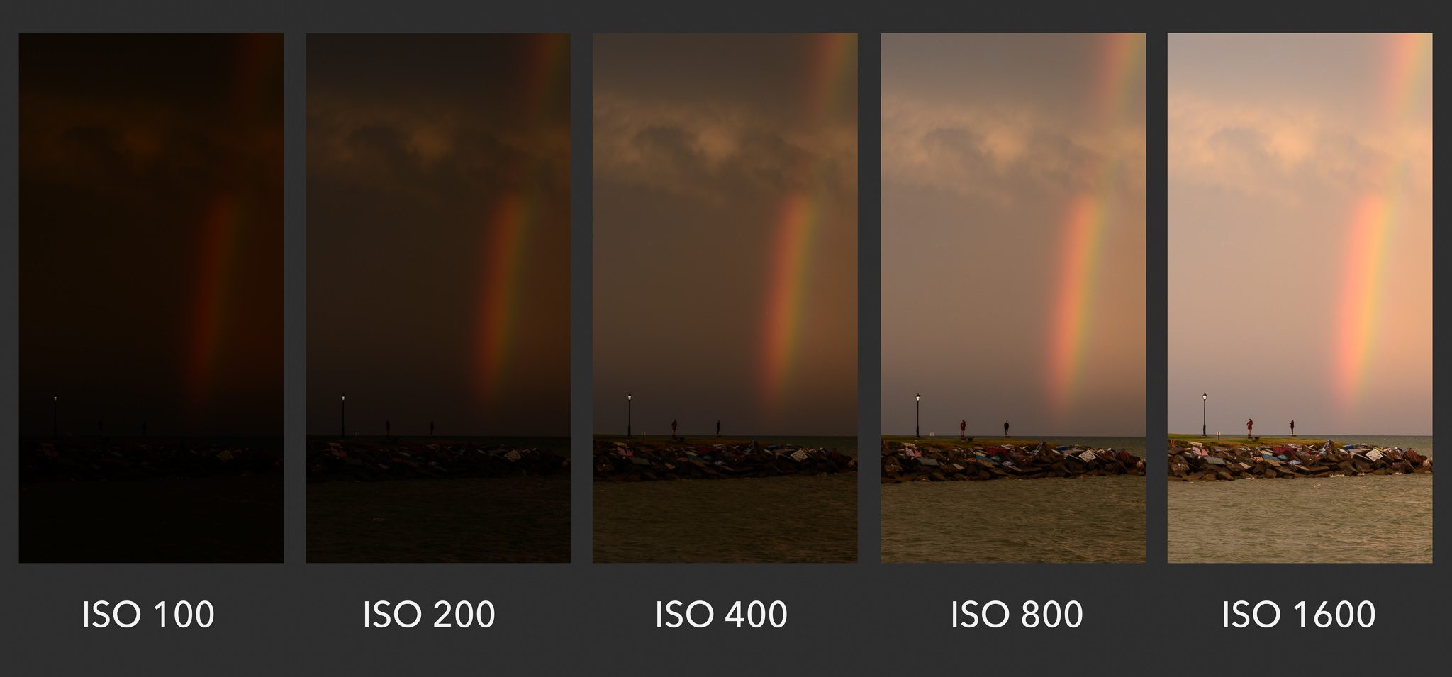 ISO Up to ISO 6400: When to Boost Your ISO?