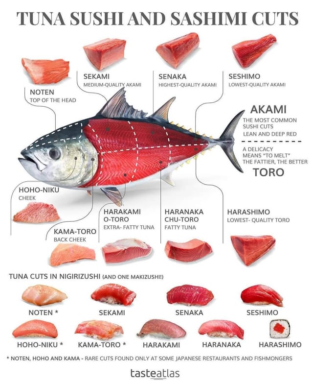 Otoro Nigiri vs. Other Sushi: (The Ultimate Tuna Comparison)