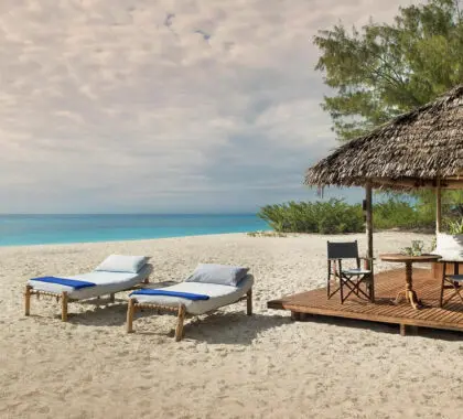Are holidays to Tanzania safe right now? Get updated travel safety tips and secure tour options easily.