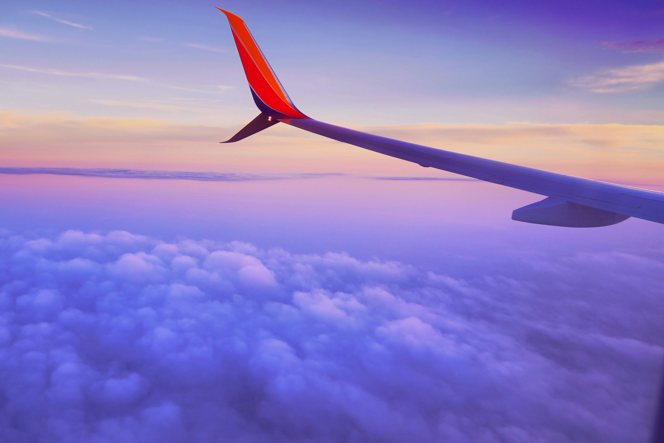 Best Flight and Hotel Search Tools: Snag Amazing Last-Minute Travel Deals!