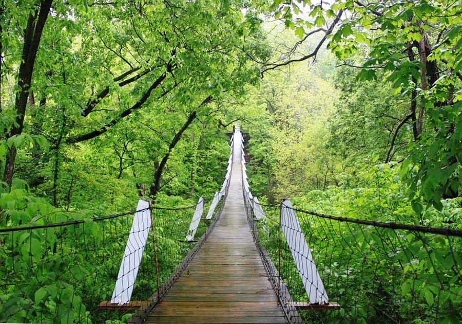 Explore Iowa Culture: Top Things to See & Do (Locals Guide)
