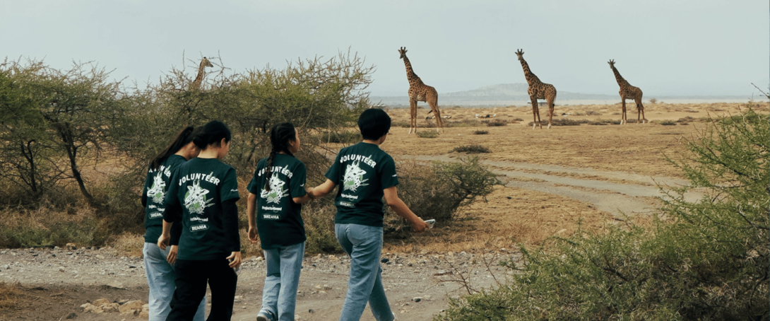 Travel conservation programs: Easy ways to join & make a difference!