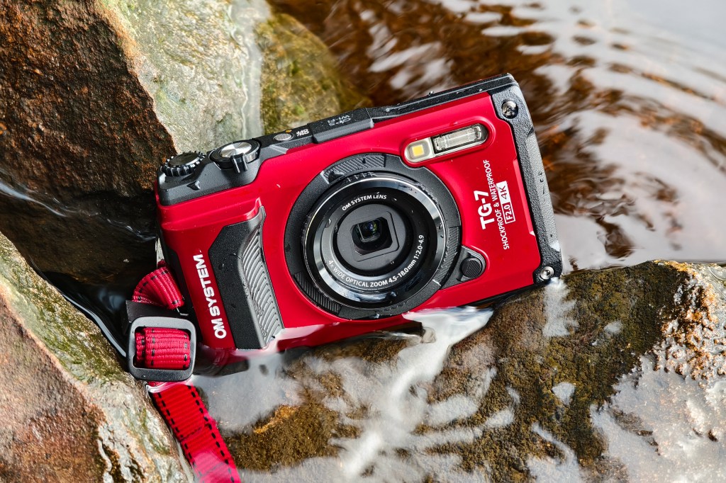 Choosing an Olympus Portable Camera? Read This Before You Buy!