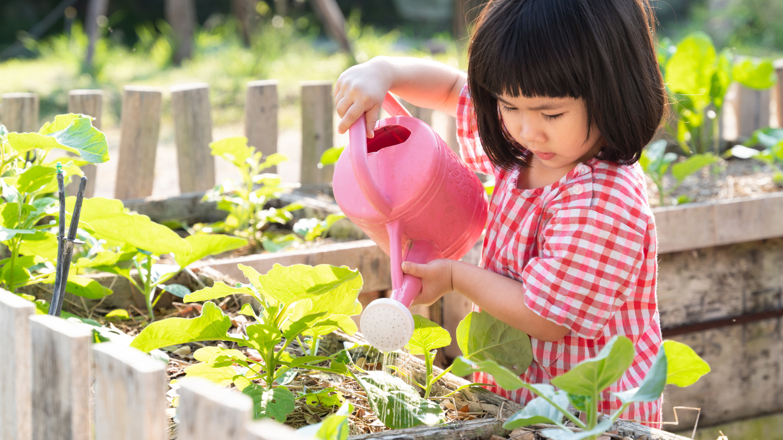 Enjoy Nature-friendly activities? Best tips for green fun.