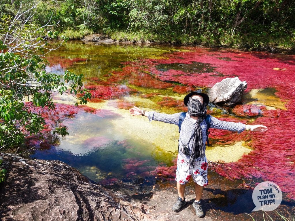 Colombia in June: Your Perfect Holiday Guide (Best Things To Do)