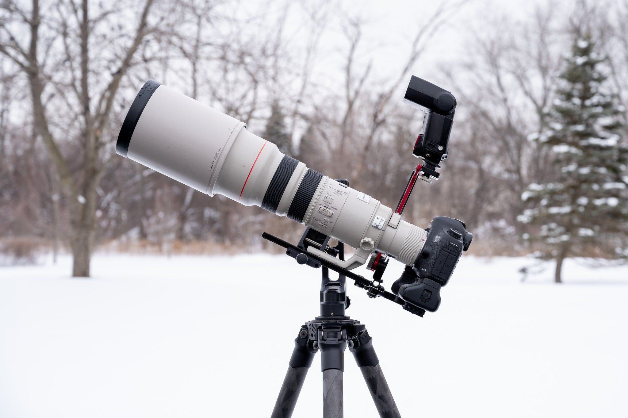 Using a 400mm lens for wildlife? Learn essential techniques for great shots.