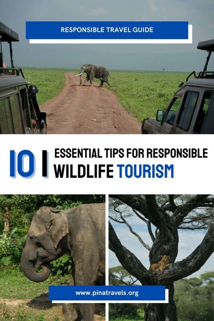 Finding truly Responsible Wildlife Tourism operators: Ask these key questions before you book any tour.