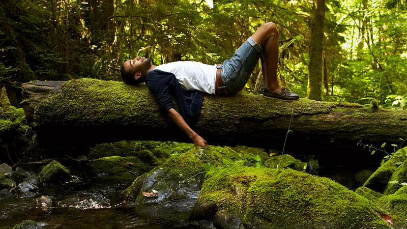 What is Nature Immersion? Easy Tips for Daily Practice