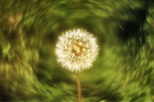 Mastering Swirly Bokeh: A Quick Guide for Amazing Photos.