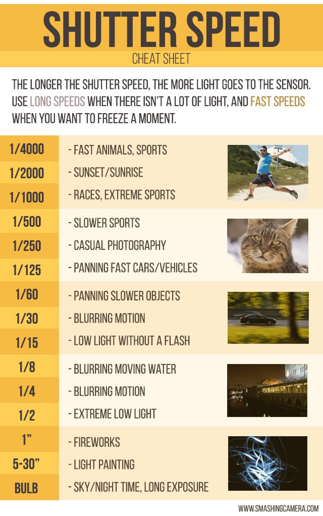 Shutter Speed in Program Mode: Easy Tips & Tricks (Beginners Guide)