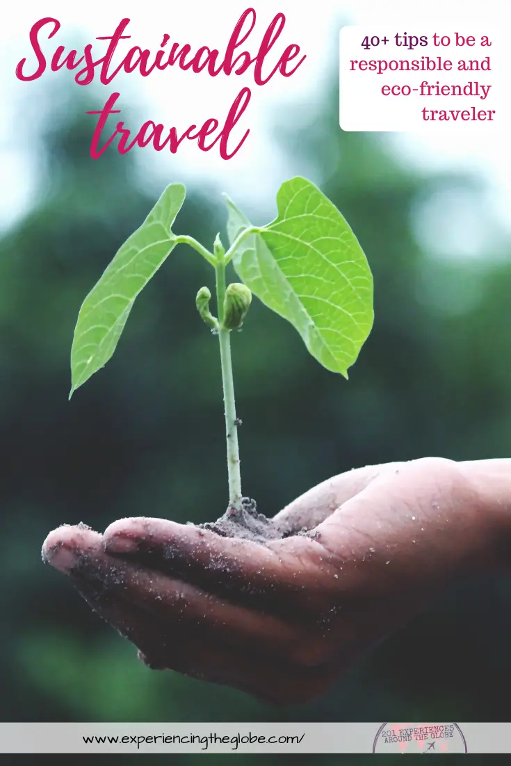 Getting started with Carbon-conscious vacationing? Here is your practical beginner guide to traveling more sustainably.