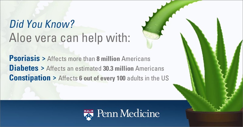 Does Aloe Vera Gel Go Bad? Find Out How Long It Really Lasts.