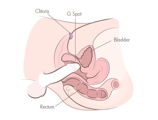 What are the best positions for making a woman squirt? Explore angles that increase stimulation chances.