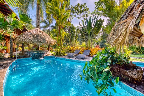 Where should you stay near Playa Negra? Explore the top hotels and cool vacation rentals nearby.