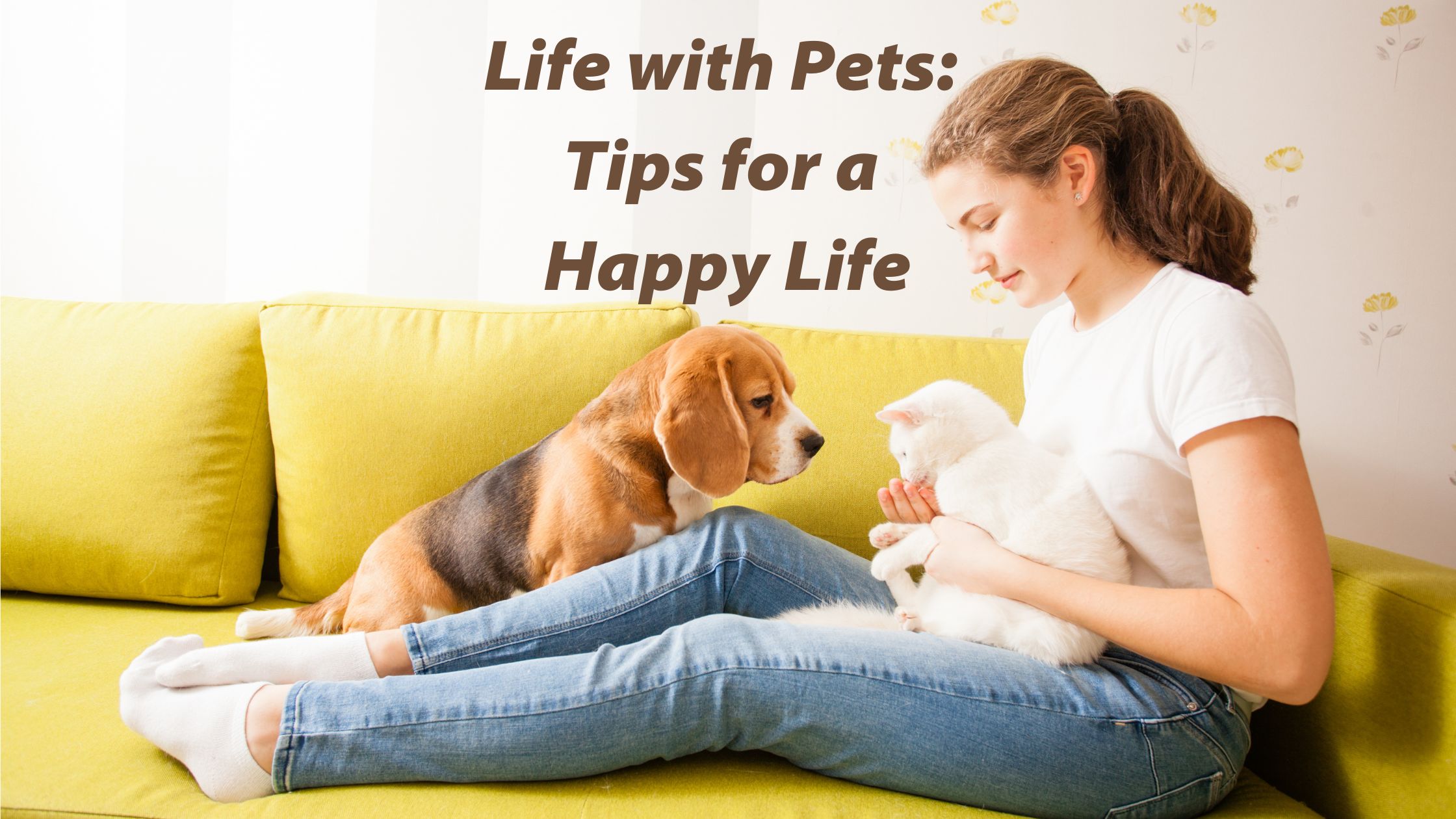 My Life Pet: Tips for a Happy and Healthy Life.