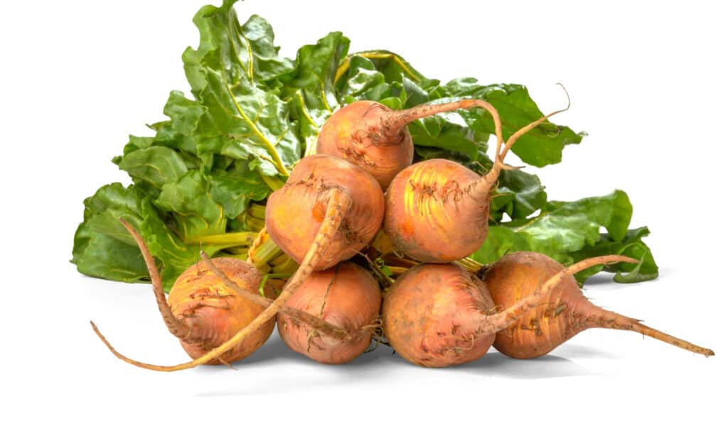Betabeles vs beets: What is the real difference?