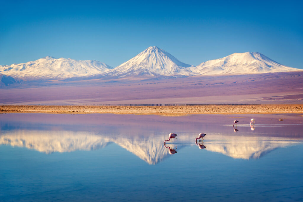 Discover Chile: Unforgettable November Holidays for Everyone