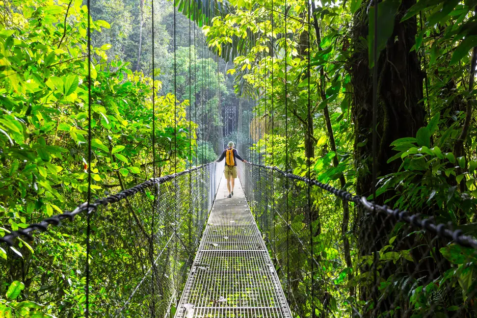 Looking for great Biodiversity-focused travel ideas? (Find inspiration for trips that support nature)